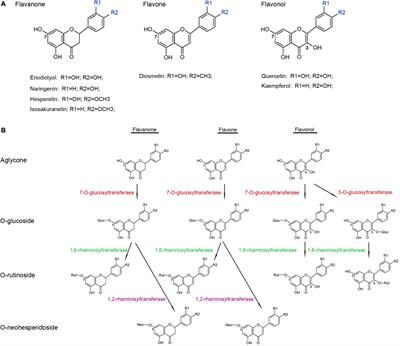Functional Characterization of a Flavonoid Glycosyltransferase in Sweet Orange (Citrus sinensis)